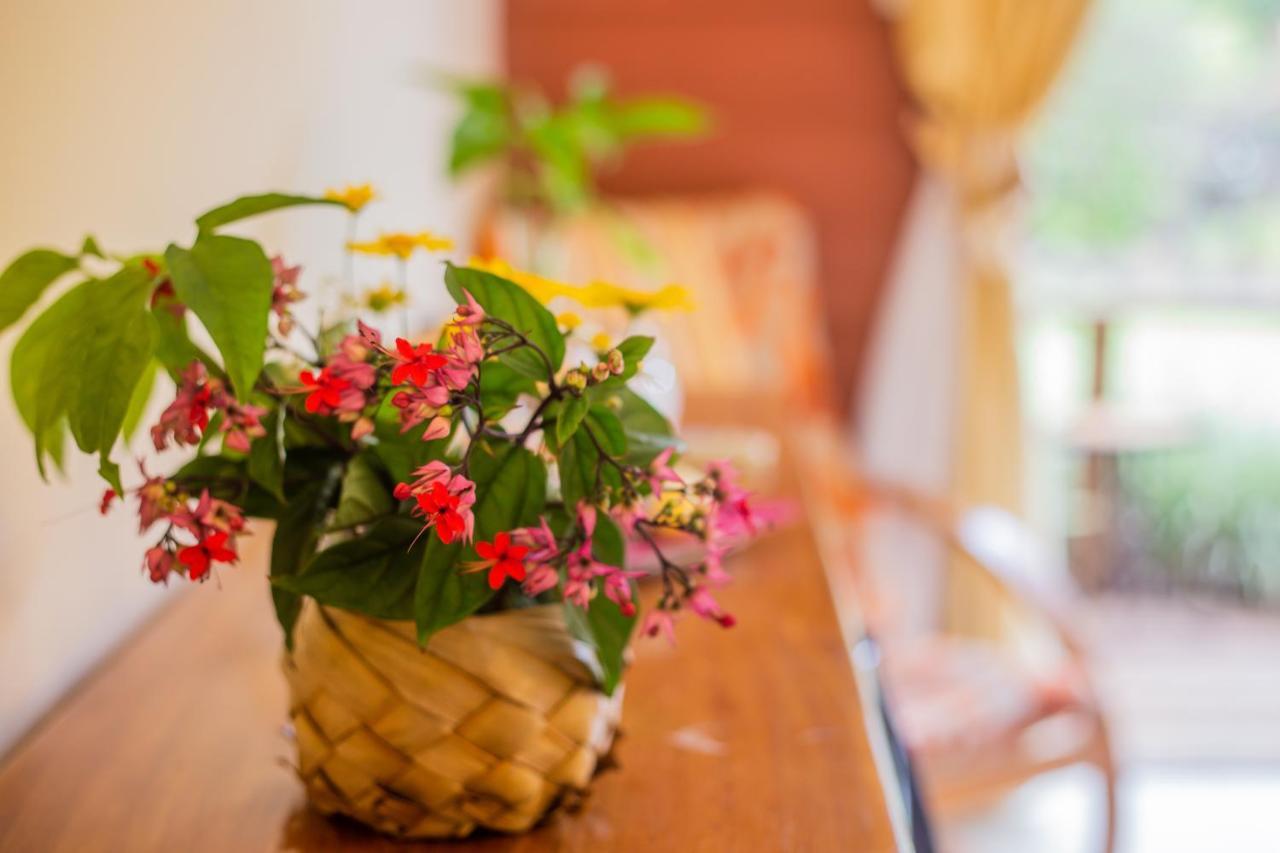 Hostal Uruhao Hanga Roa Ngoại thất bức ảnh