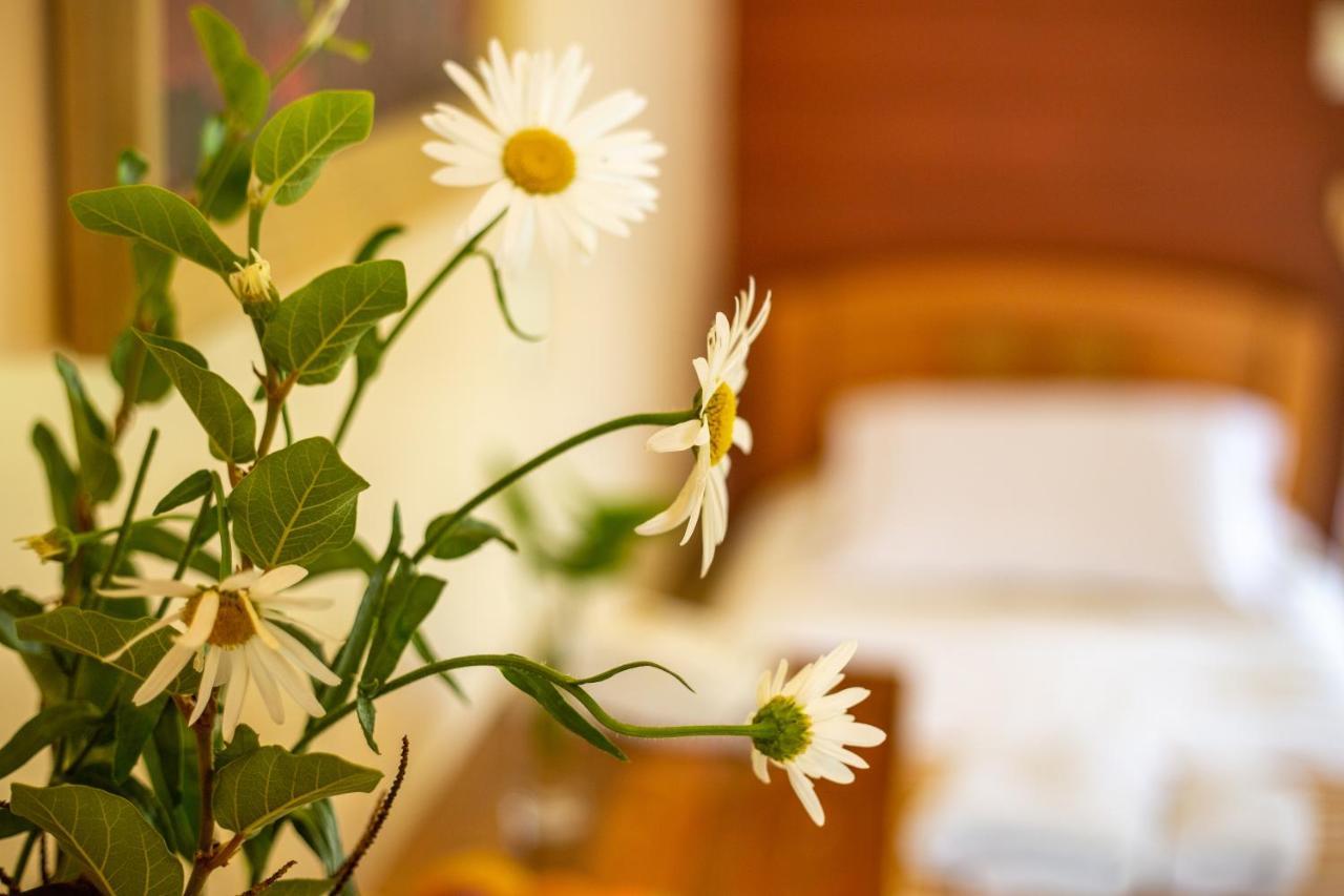 Hostal Uruhao Hanga Roa Ngoại thất bức ảnh